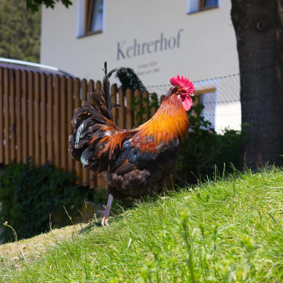 Kehrerhof Hotel Ellbogen Exterior photo