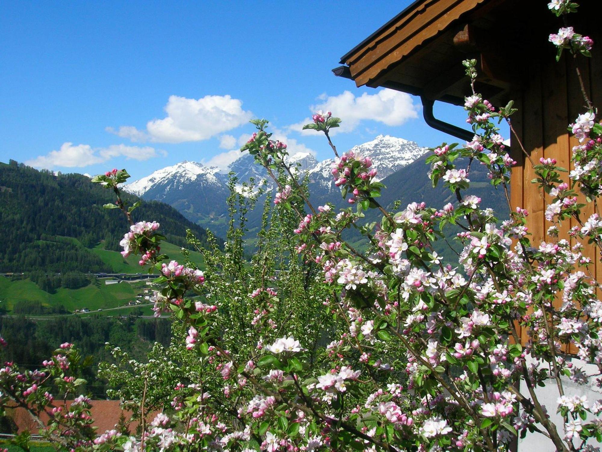 Kehrerhof Hotel Ellbogen Exterior photo